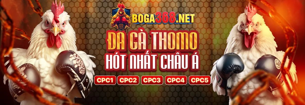 9789bet Ra Mắt Tính Năng Cá Cược Thể Thao Mới Nhất 2026